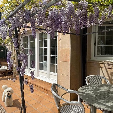 Bakea Apto Con Jardin Privado Bakio Εξωτερικό φωτογραφία