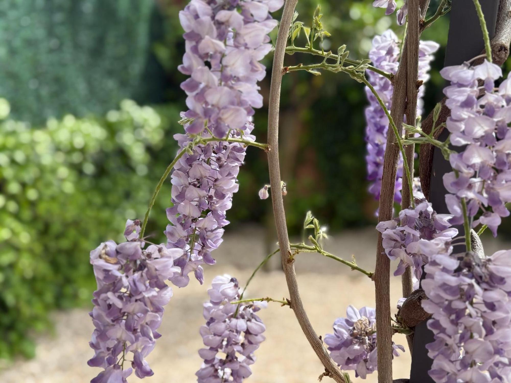 Bakea Apto Con Jardin Privado Bakio Εξωτερικό φωτογραφία